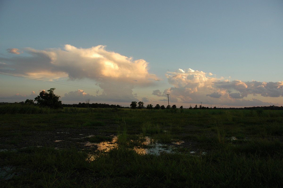 cumulus congestus : near Coraki, NSW   21 January 2005