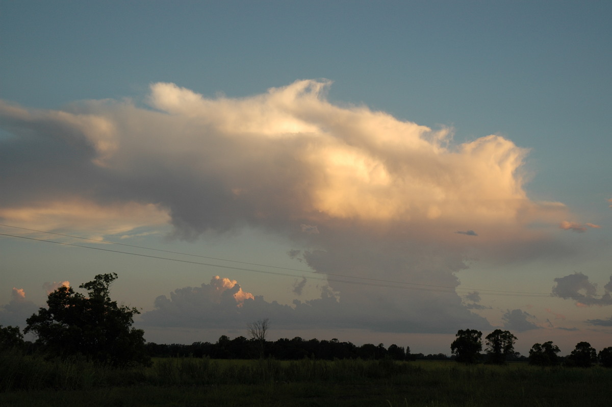 thunderstorm cumulonimbus_incus : near Coraki, NSW   21 January 2005