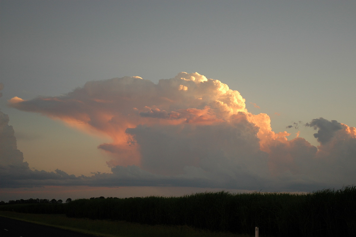 thunderstorm cumulonimbus_incus : near Coraki, NSW   21 January 2005