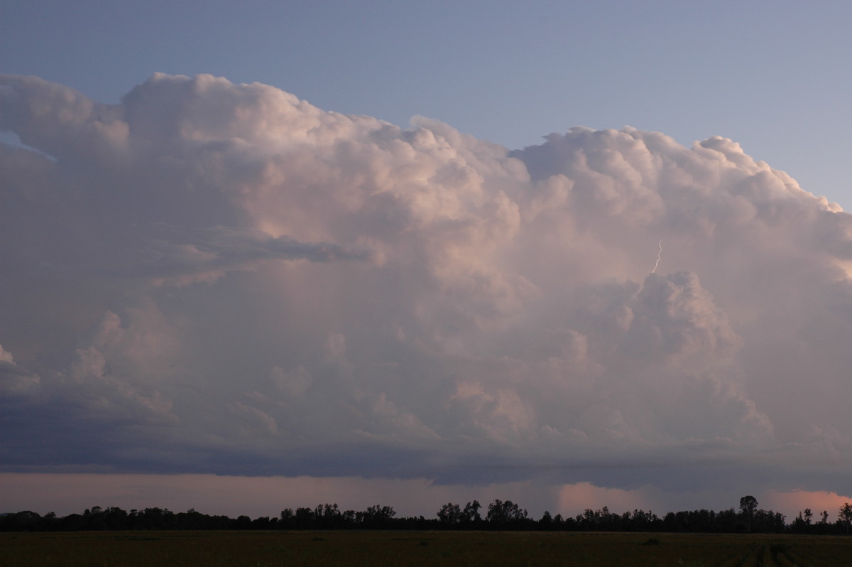 thunderstorm cumulonimbus_calvus : Coraki, NSW   21 January 2005