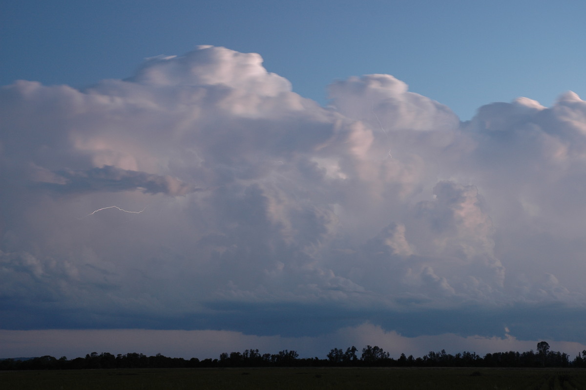 thunderstorm cumulonimbus_calvus : Coraki, NSW   21 January 2005