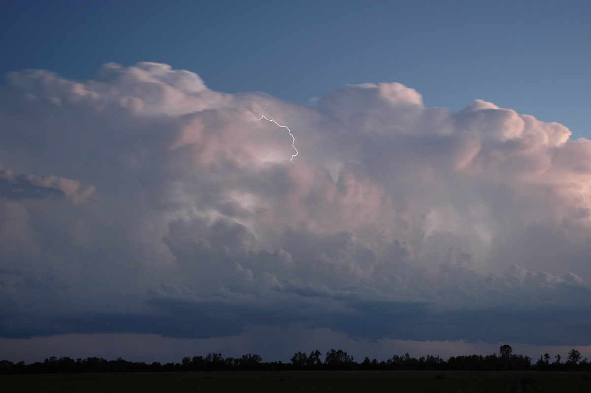 thunderstorm cumulonimbus_calvus : Coraki, NSW   21 January 2005