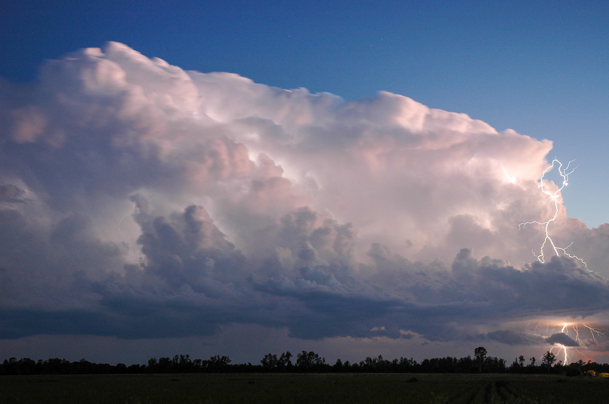 thunderstorm cumulonimbus_incus : Coraki, NSW   21 January 2005