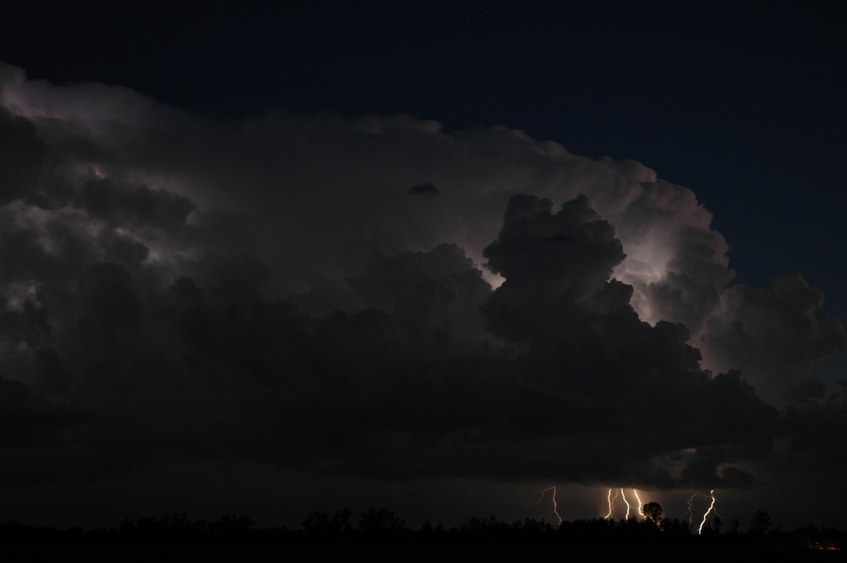 lightning lightning_bolts : Coraki, NSW   21 January 2005