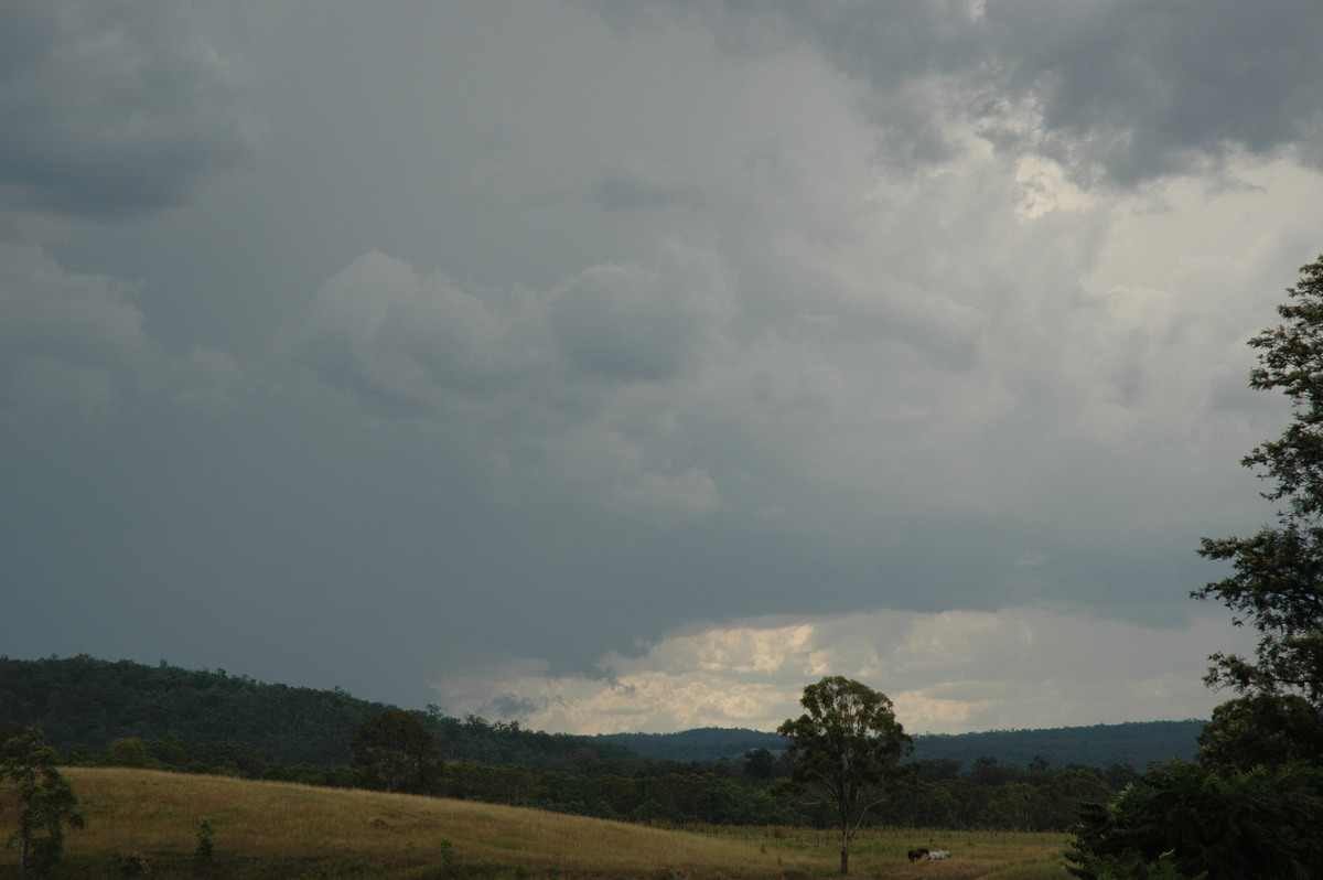 cumulonimbus thunderstorm_base : Tabulam, NSW   22 January 2005