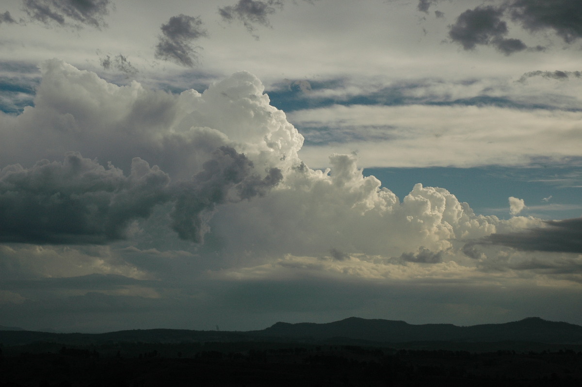 thunderstorm cumulonimbus_calvus : Mallanganee NSW   22 January 2005