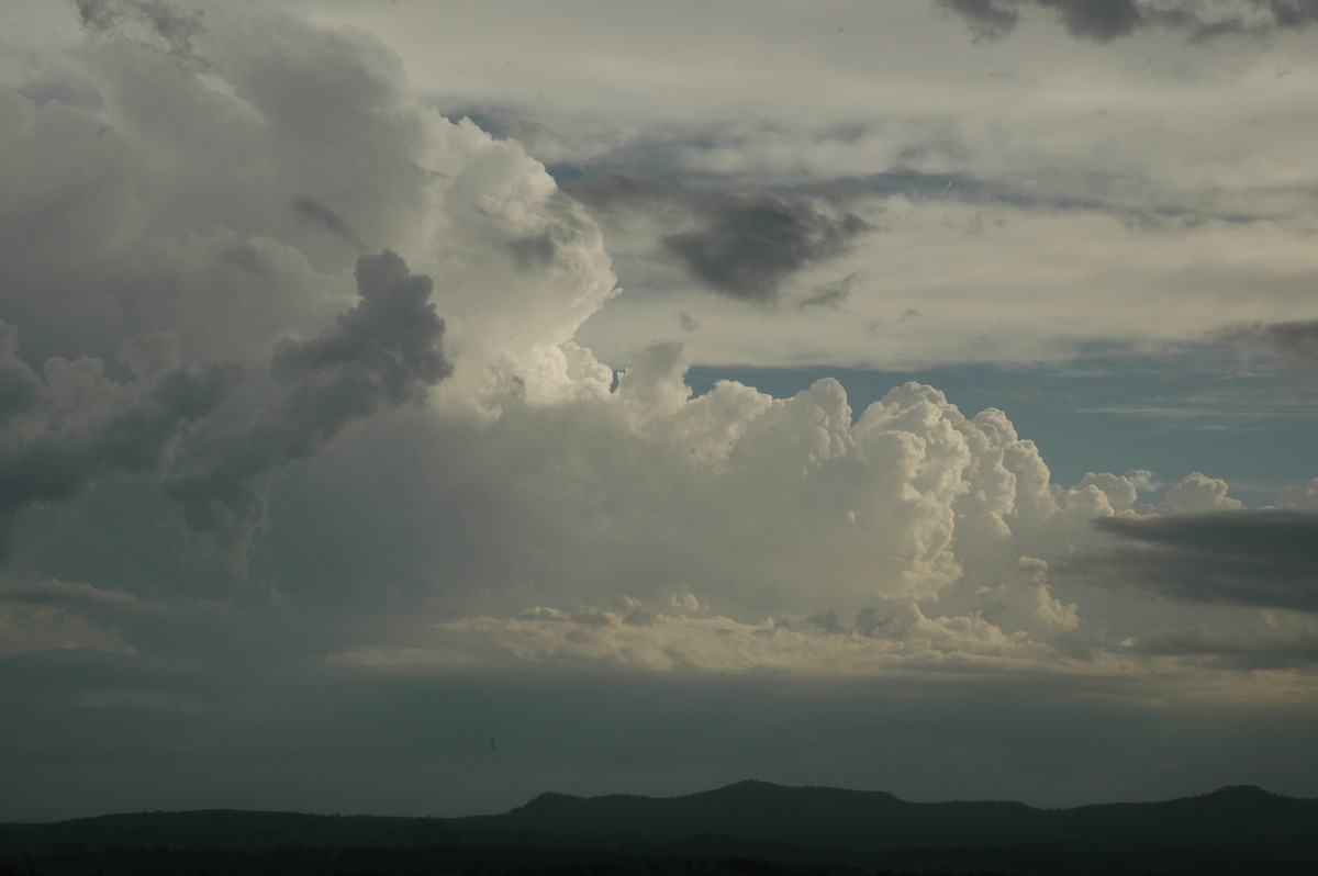 thunderstorm cumulonimbus_calvus : Mallanganee NSW   22 January 2005