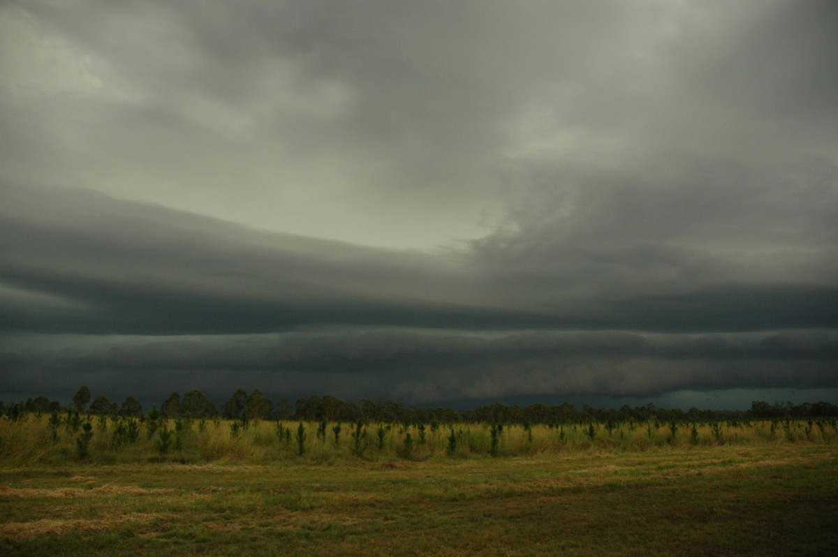 shelfcloud shelf_cloud : Rappville, NSW   22 January 2005