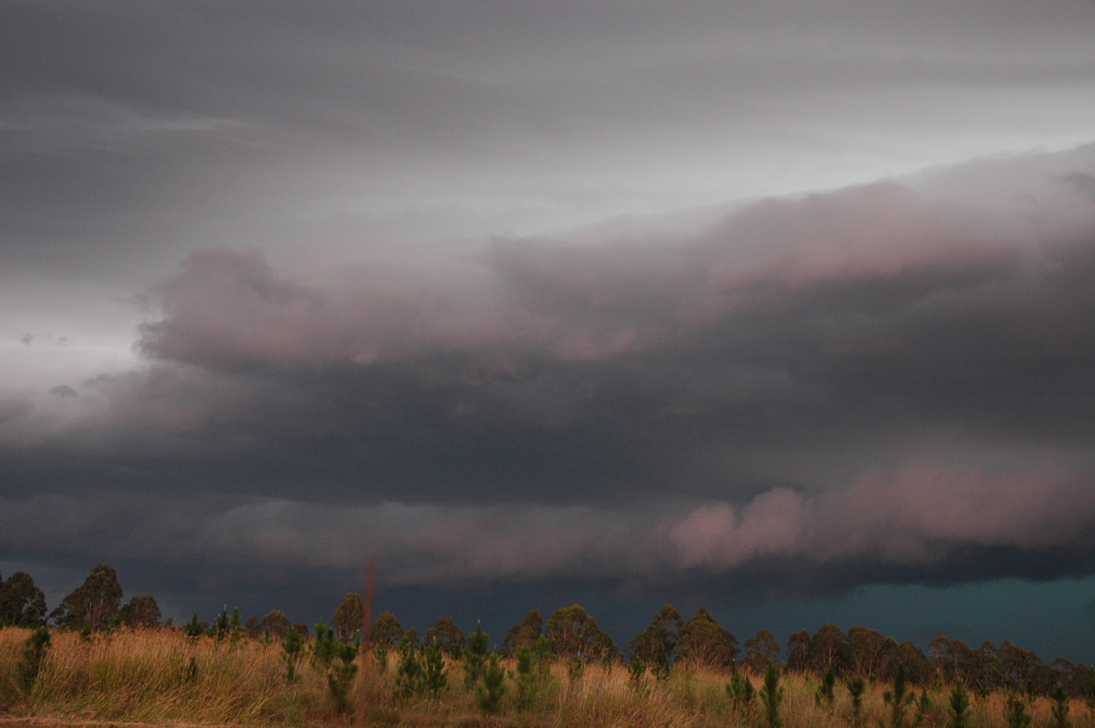 shelfcloud shelf_cloud : Rappville, NSW   22 January 2005