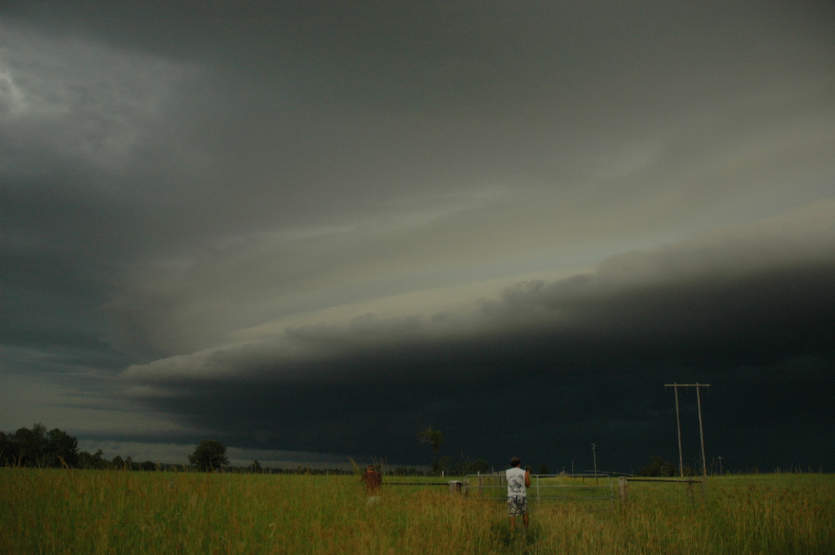 shelfcloud shelf_cloud : S of Casino, NSW   22 January 2005