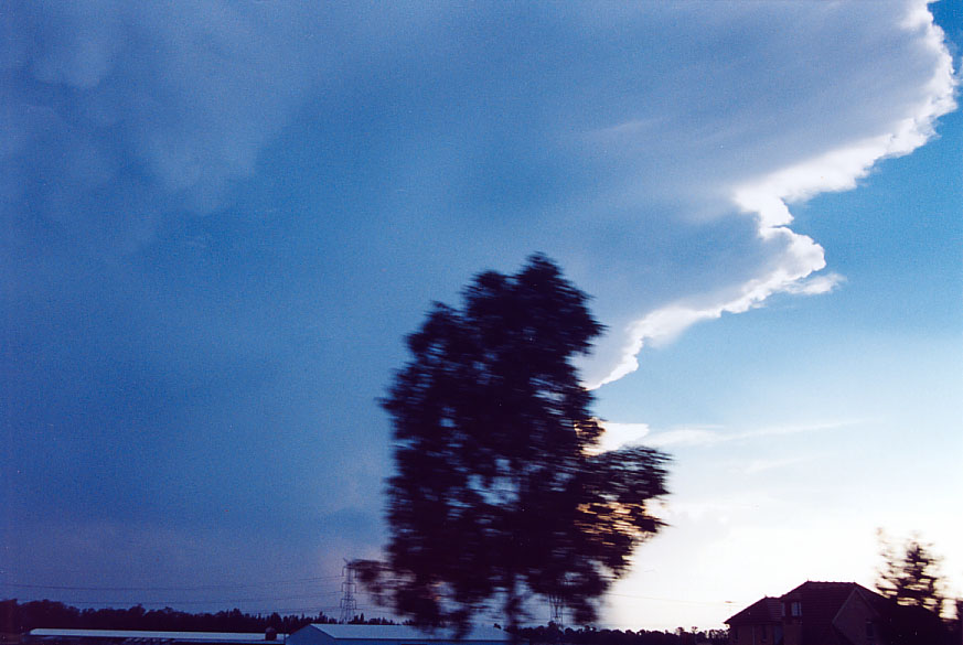 mammatus mammatus_cloud : Penrith, NSW   1 February 2005