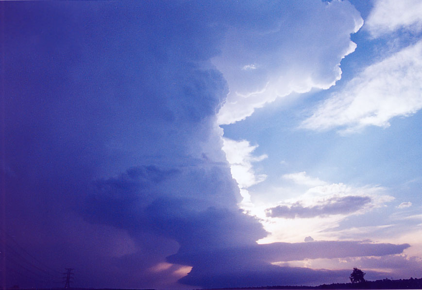 thunderstorm cumulonimbus_incus : Penrith, NSW   1 February 2005