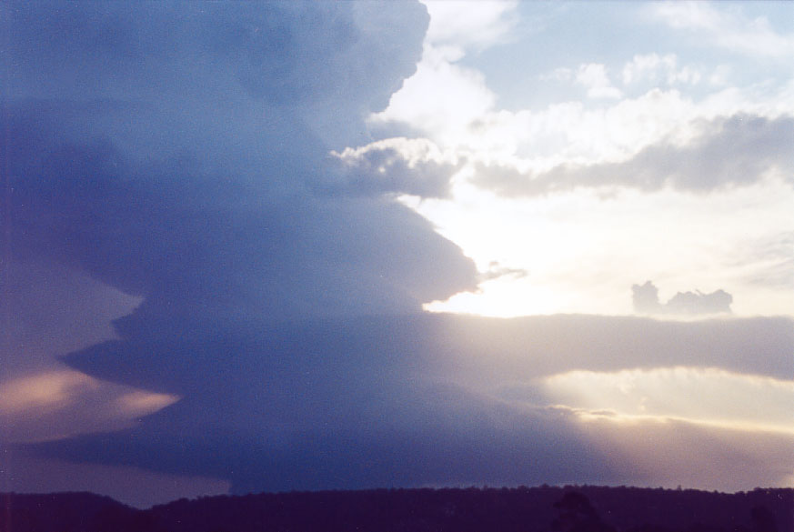 inflowband thunderstorm_inflow_band : Penrith, NSW   1 February 2005