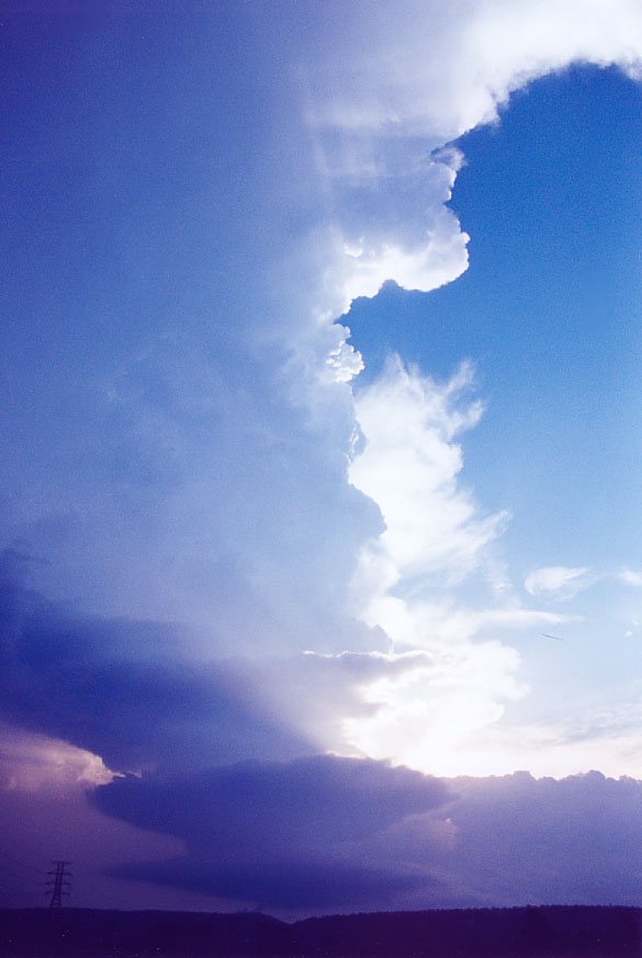 thunderstorm cumulonimbus_incus : Penrith, NSW   1 February 2005