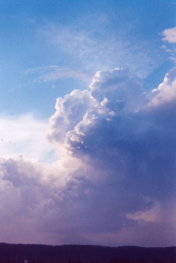 thunderstorm cumulonimbus_incus : Penrith, NSW   1 February 2005