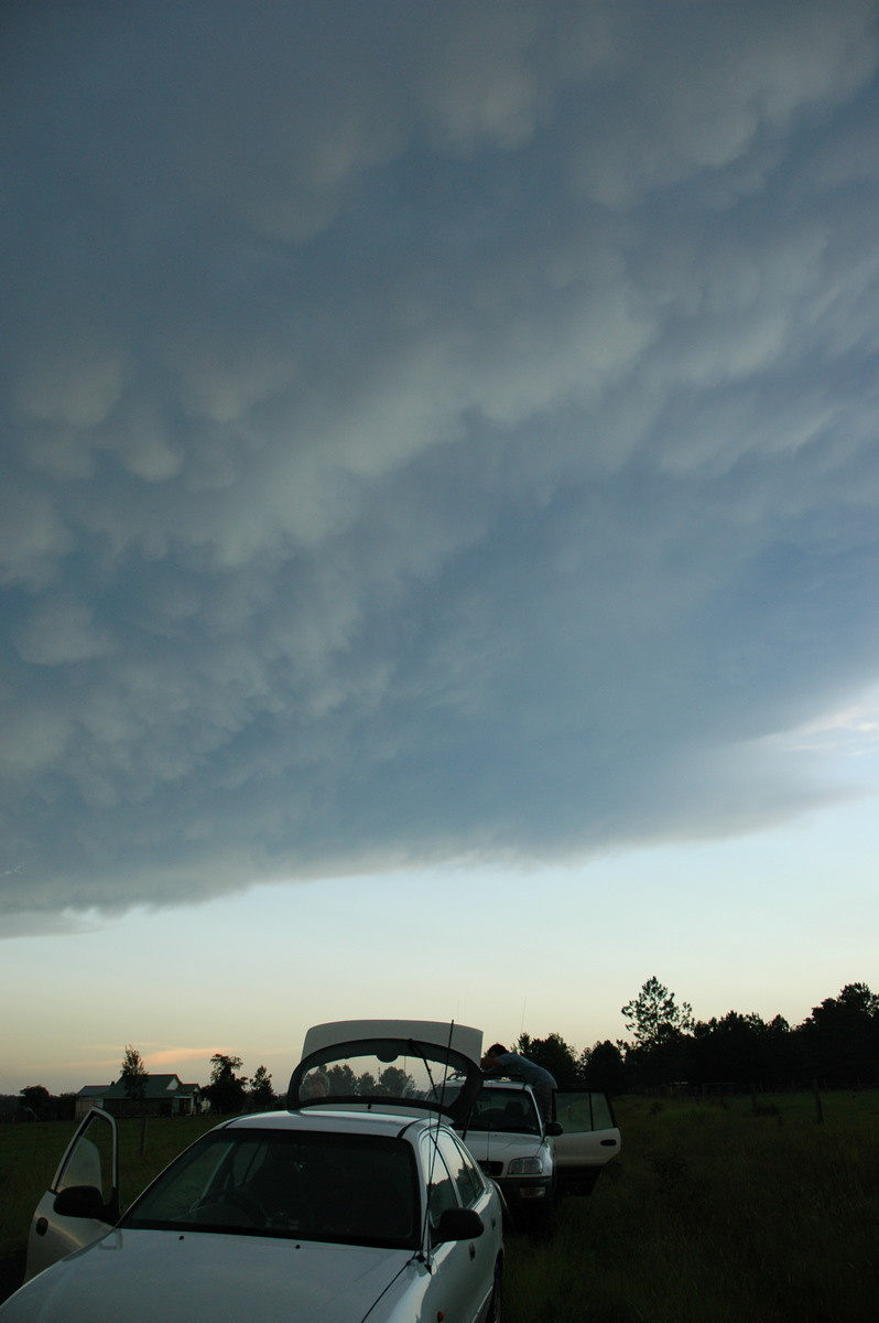 mammatus mammatus_cloud : Whiporie, NSW   2 February 2005