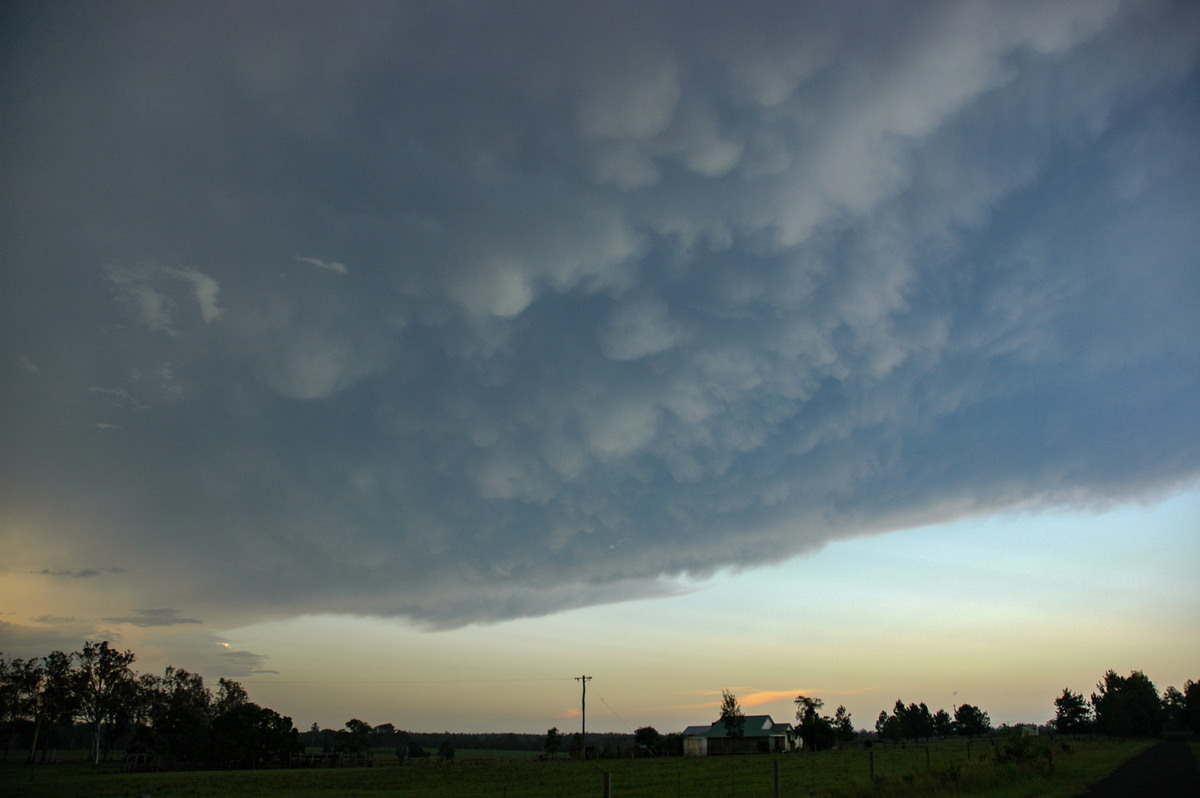 mammatus mammatus_cloud : Whiporie, NSW   2 February 2005