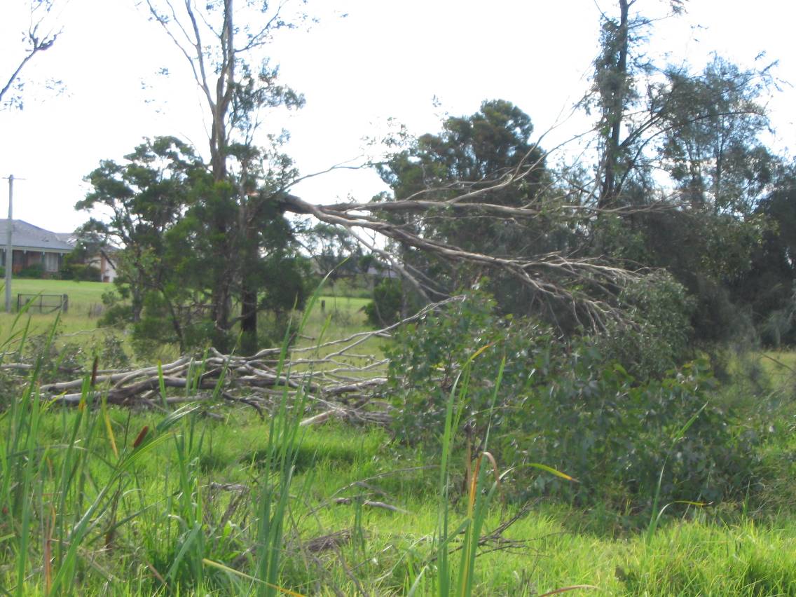 disasters storm_damage : Marsden Park, NSW   5 February 2005