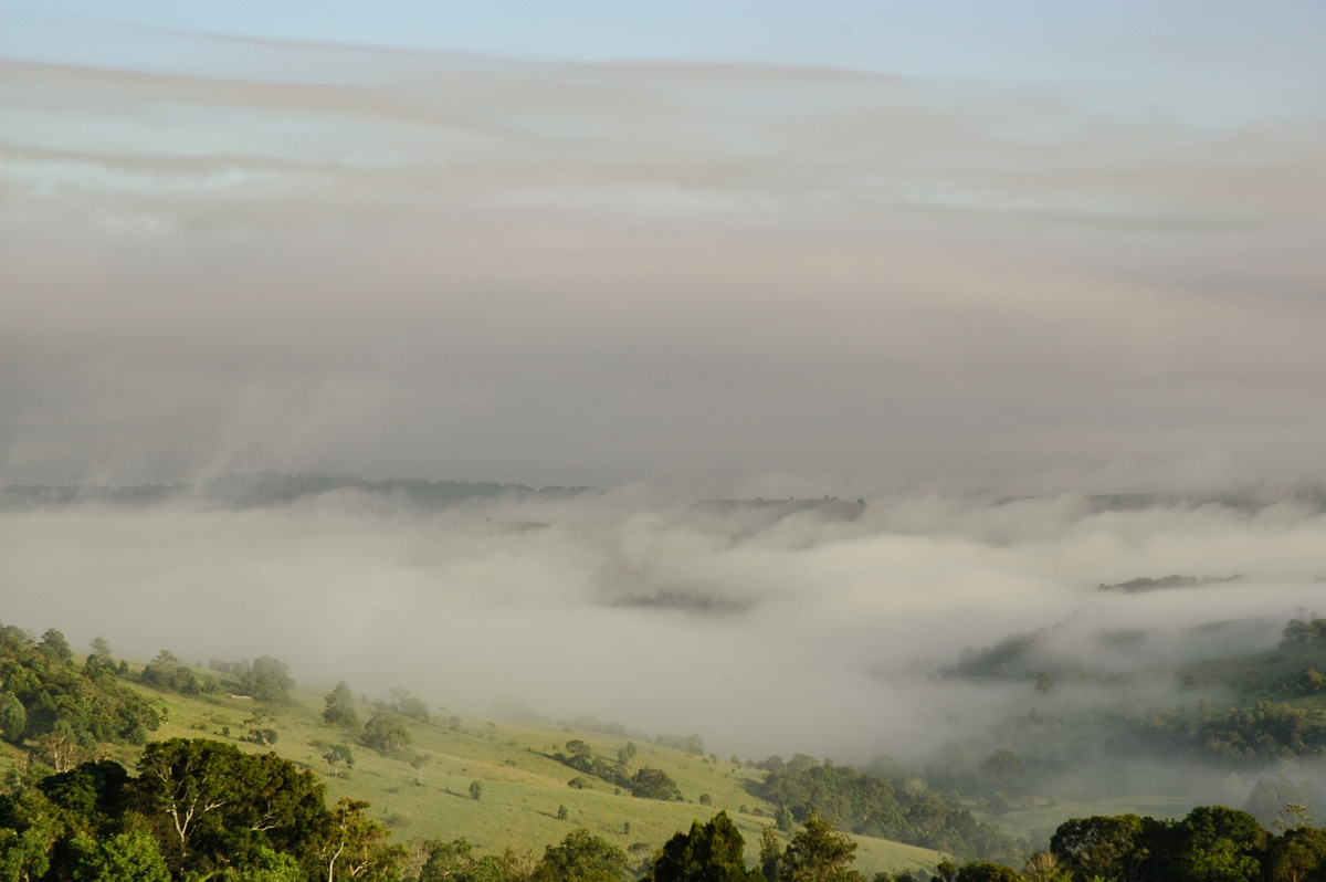 stratus stratus_cloud : McLeans Ridges, NSW   7 February 2005