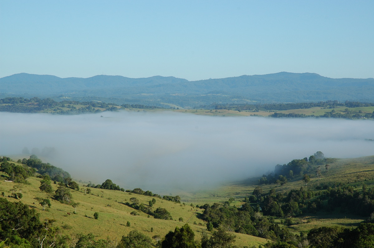 fogmist fog_mist_frost : McLeans Ridges, NSW   16 February 2005