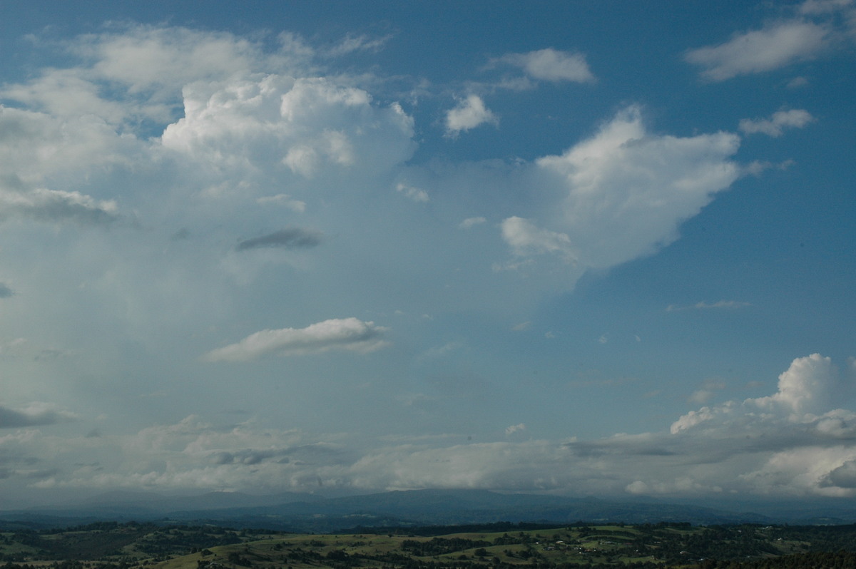 thunderstorm cumulonimbus_incus : McLeans Ridges, NSW   17 February 2005