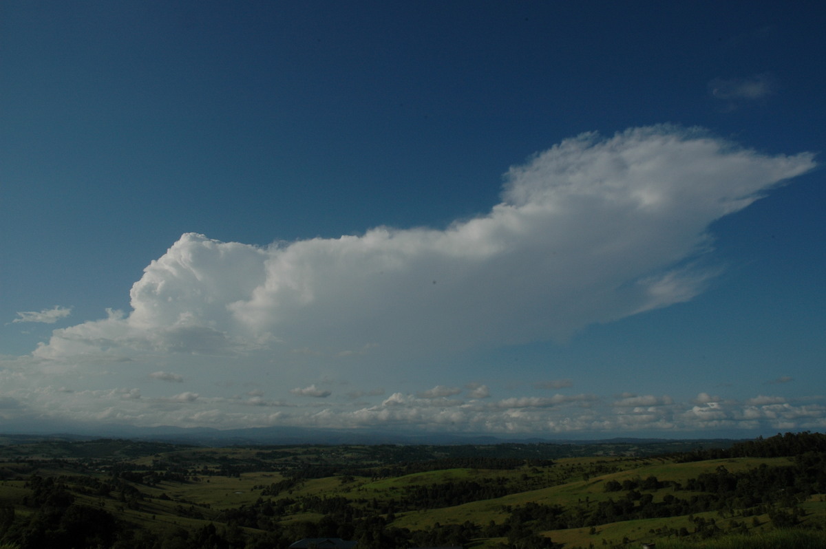 anvil thunderstorm_anvils : McLeans Ridges, NSW   17 February 2005