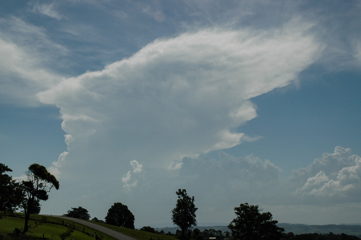 thunderstorm cumulonimbus_incus : McLeans Ridges, NSW   22 February 2005