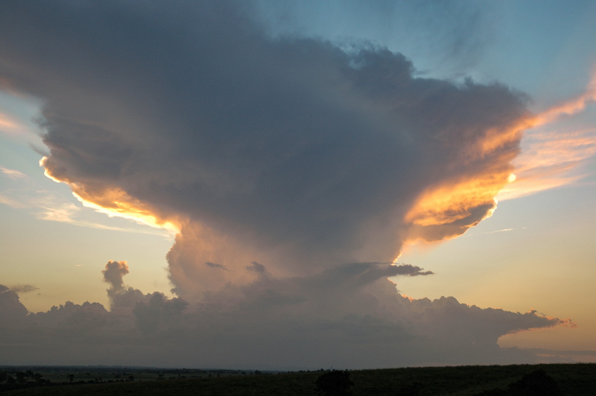 thunderstorm cumulonimbus_incus : Parrots Nest, NSW   22 February 2005