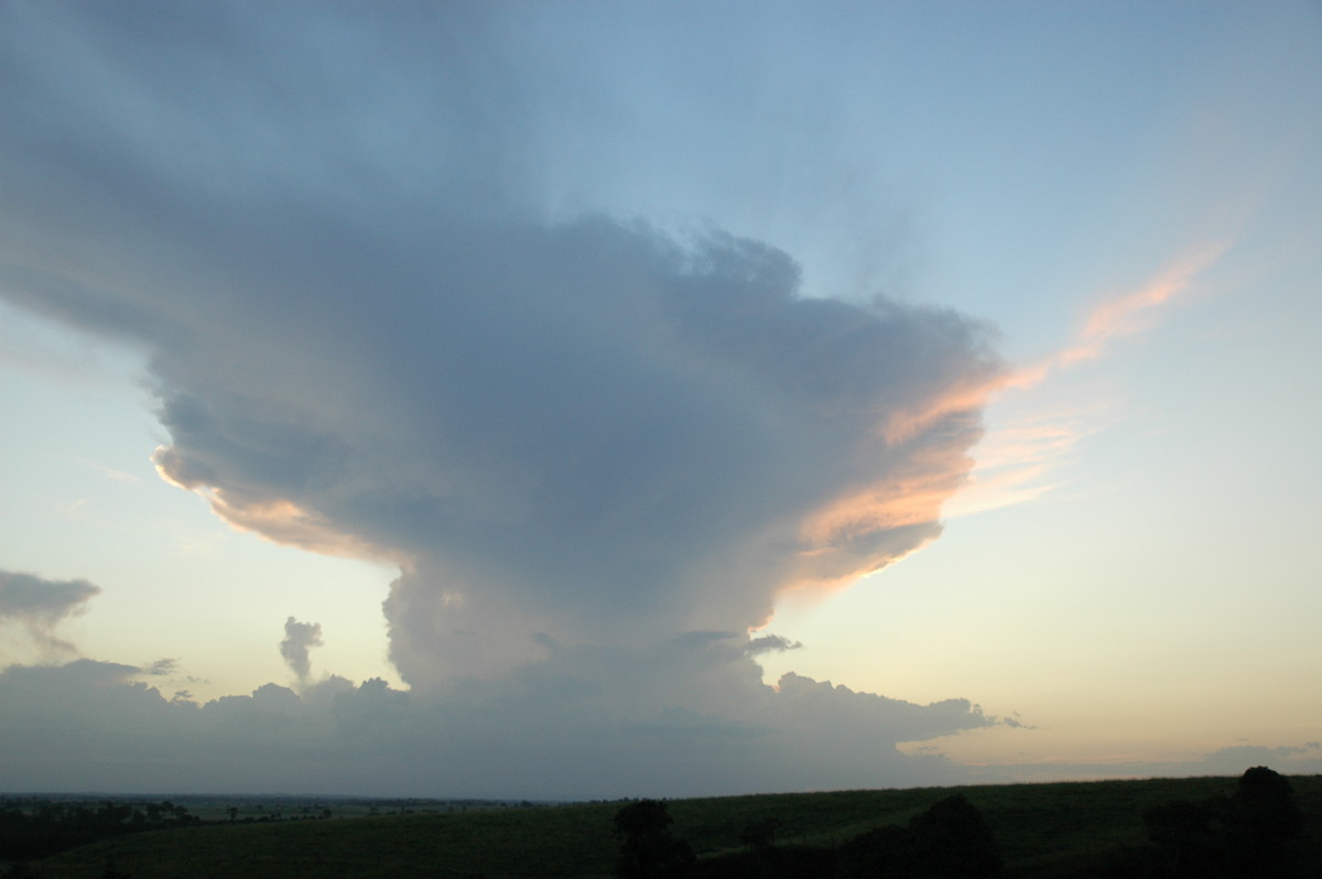 anvil thunderstorm_anvils : Parrots Nest, NSW   22 February 2005