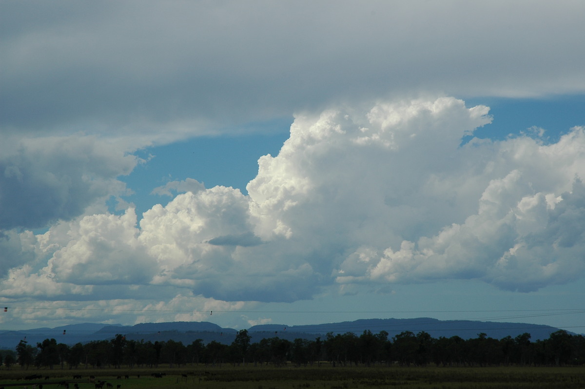 cumulus congestus : Casino, NSW   10 March 2005