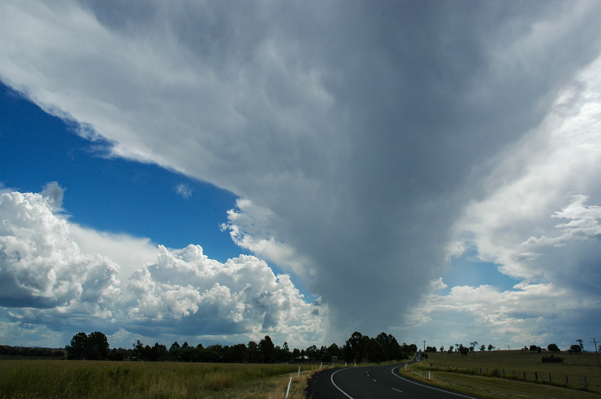 thunderstorm cumulonimbus_incus : Casino, NSW   10 March 2005