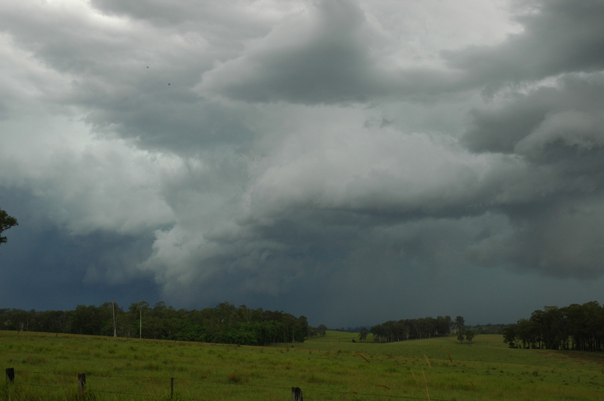 cumulonimbus thunderstorm_base : near Tabulam, NSW   10 March 2005