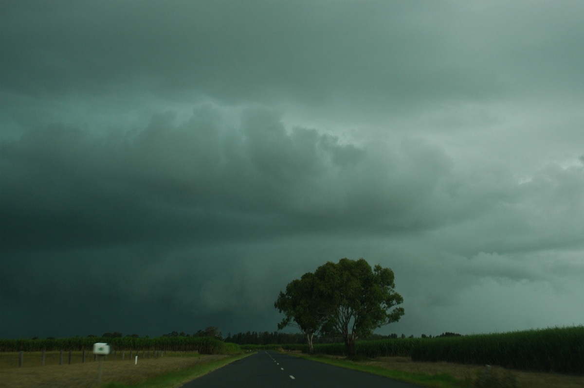 cumulonimbus thunderstorm_base : near Coraki, NSW   26 March 2005