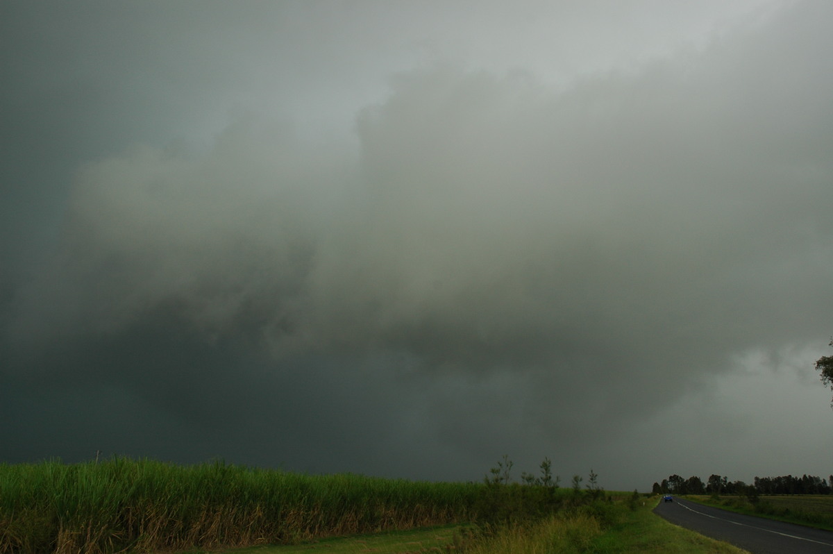 cumulonimbus thunderstorm_base : near Coraki, NSW   26 March 2005