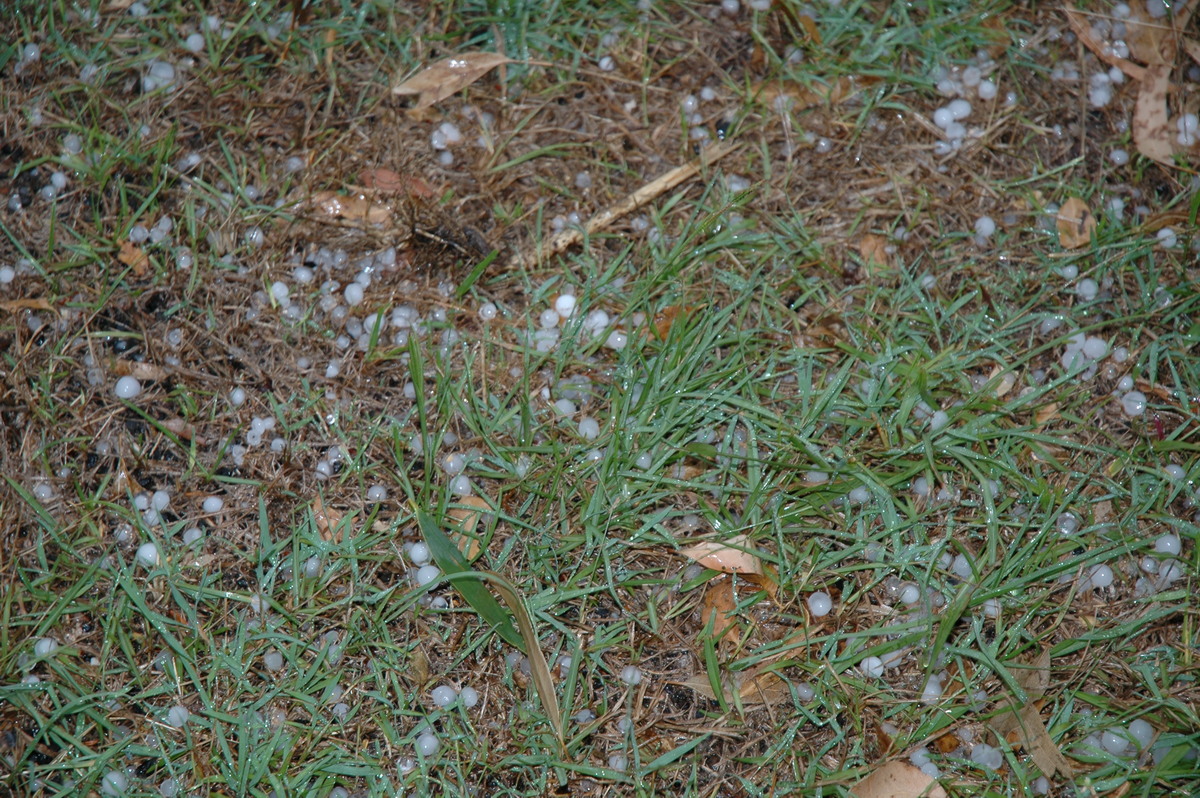 hailstones hail_stones : Broadwater, NSW   26 March 2005