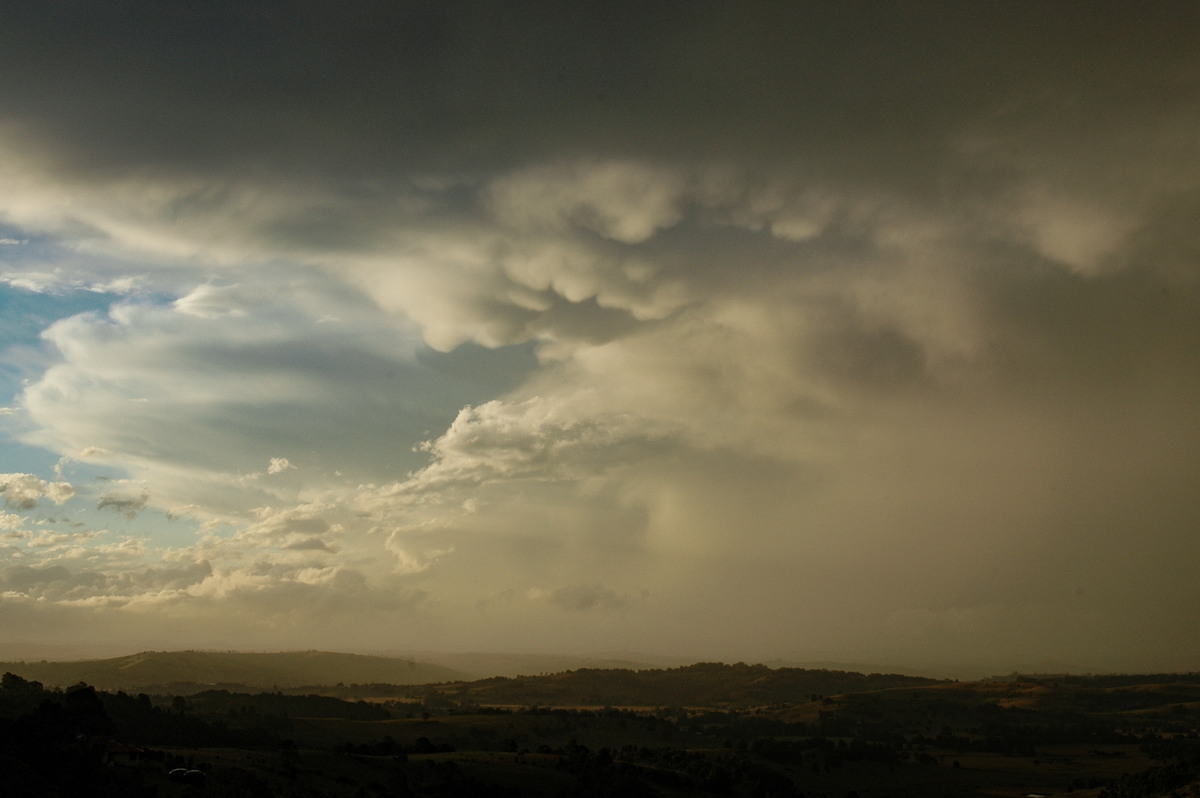thunderstorm cumulonimbus_incus : McLeans Ridges, NSW   26 March 2005