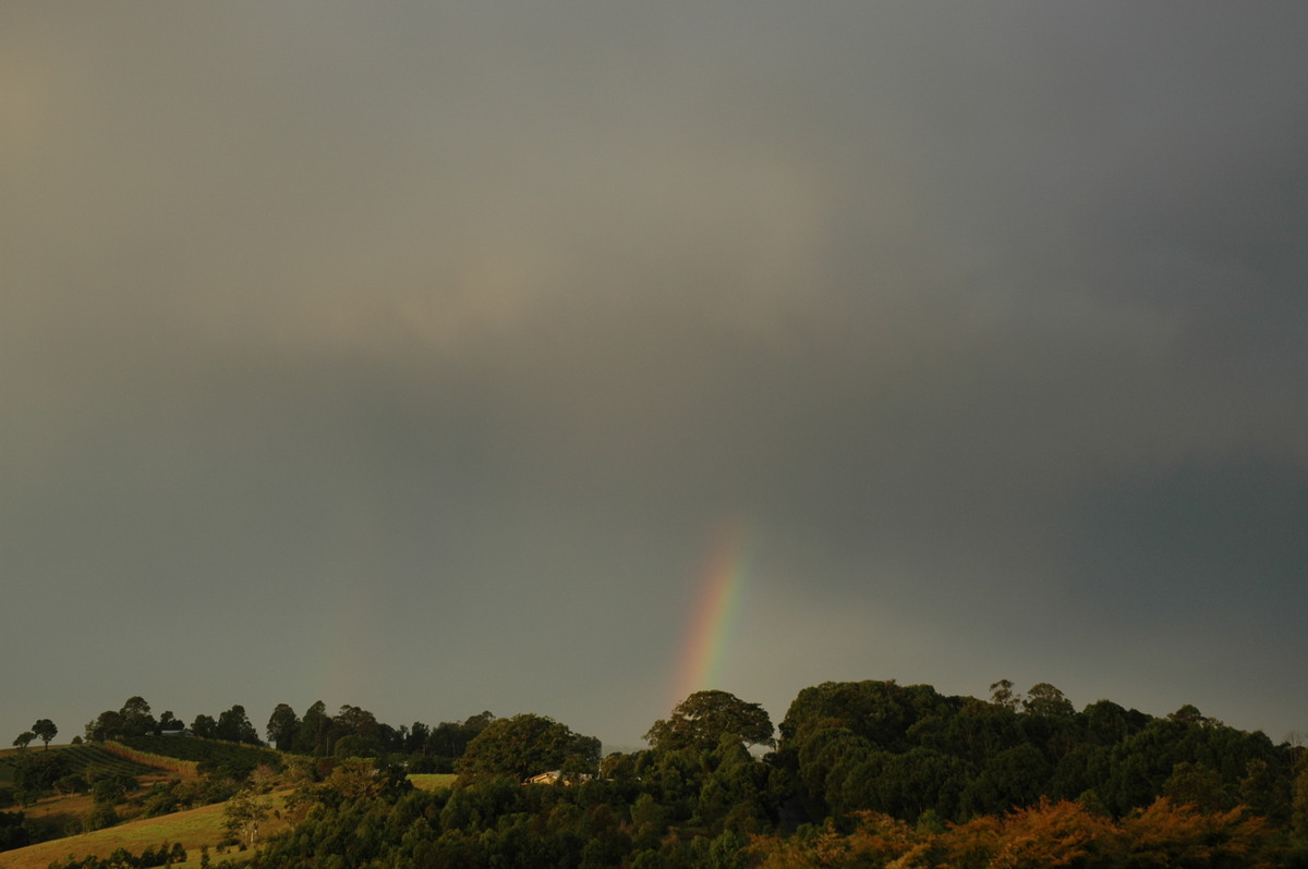 rainbow rainbow_pictures : McLeans Ridges, NSW   26 March 2005
