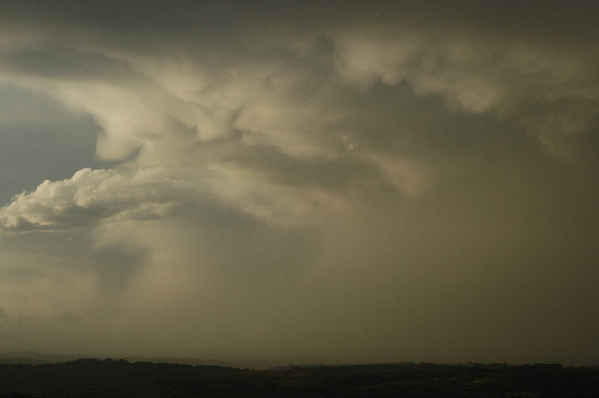 mammatus mammatus_cloud : McLeans Ridges, NSW   26 March 2005