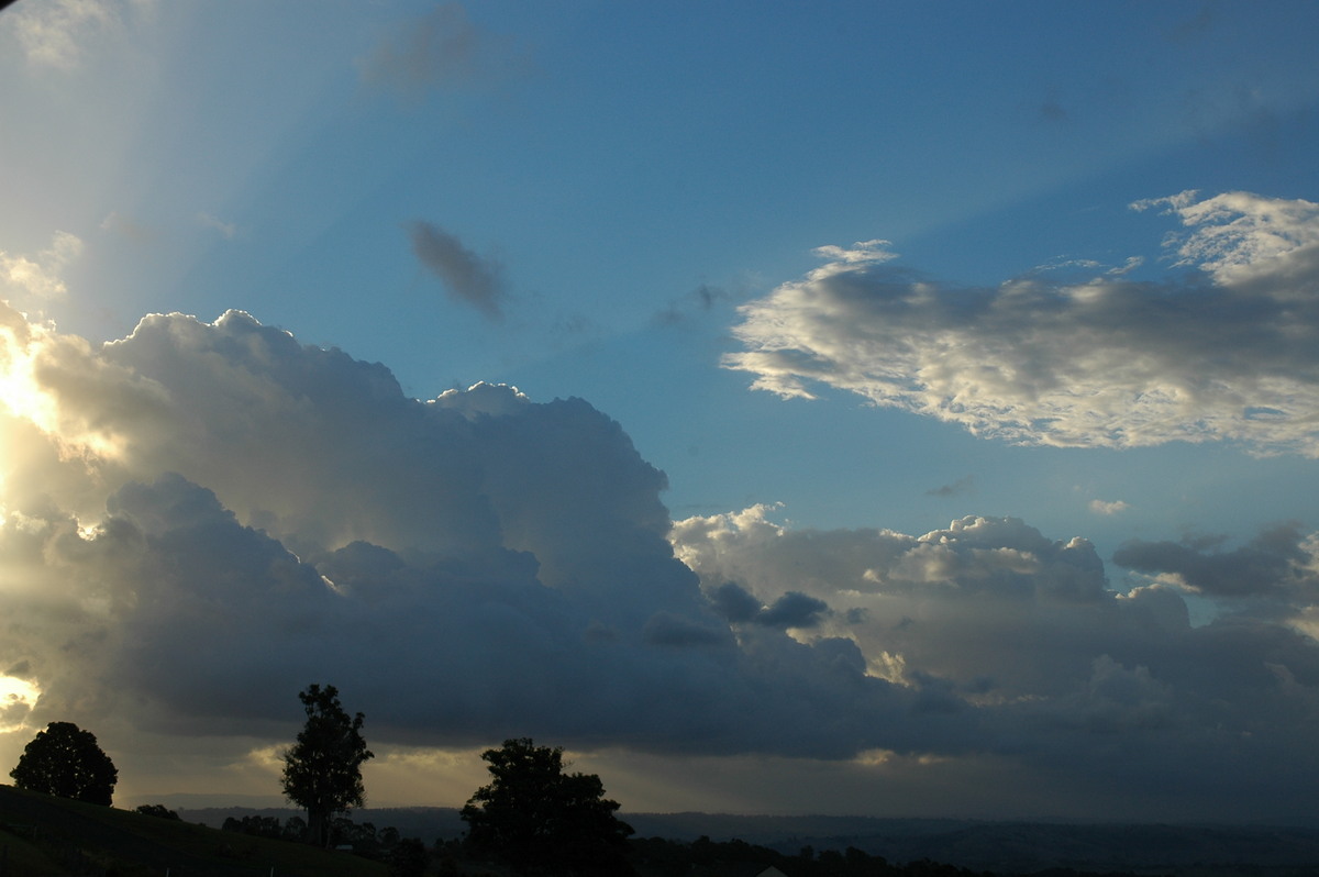 cumulus mediocris : McLeans Ridges, NSW   4 April 2005