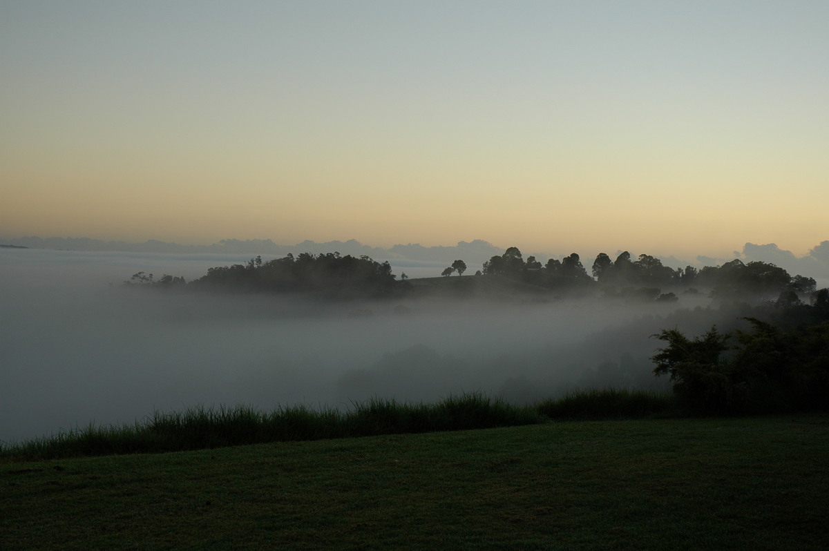 fogmist fog_mist_frost : McLeans Ridges, NSW   19 April 2005