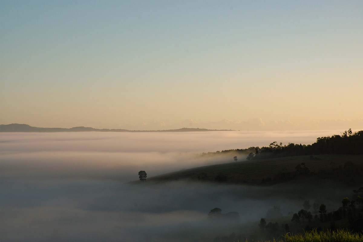 fogmist fog_mist_frost : McLeans Ridges, NSW   19 April 2005
