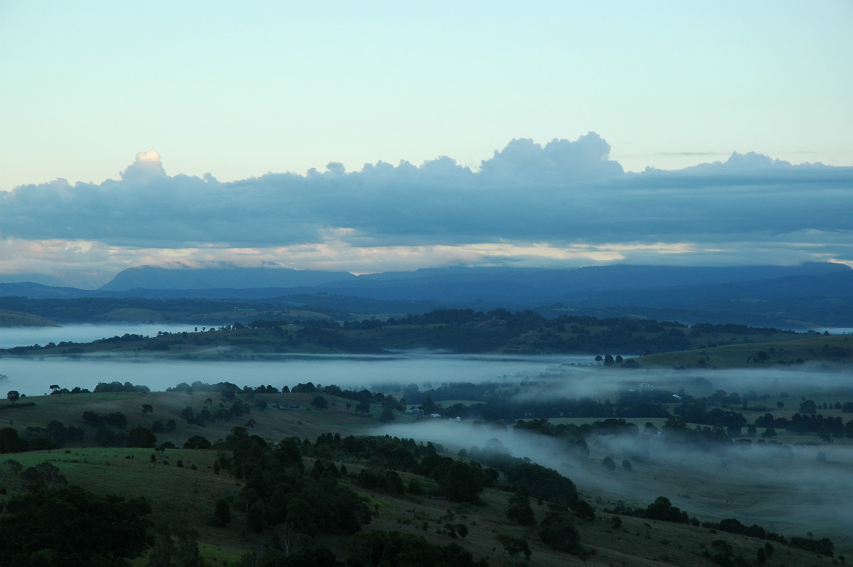 fogmist fog_mist_frost : McLeans Ridges, NSW   25 April 2005