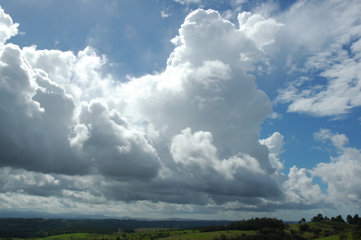 cumulus congestus : McLeans Ridges, NSW   27 April 2005