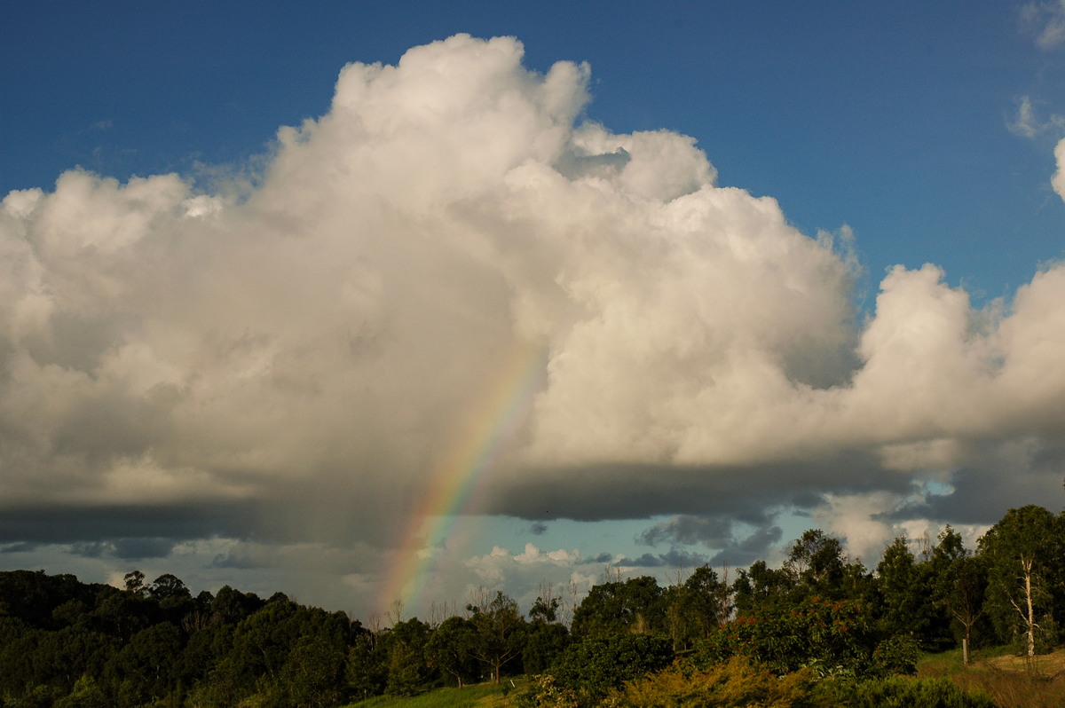 rainbow rainbow_pictures : McLeans Ridges, NSW   27 April 2005