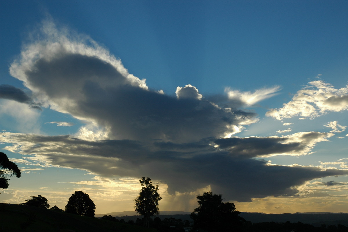 cumulus congestus : McLeans Ridges, NSW   18 May 2005