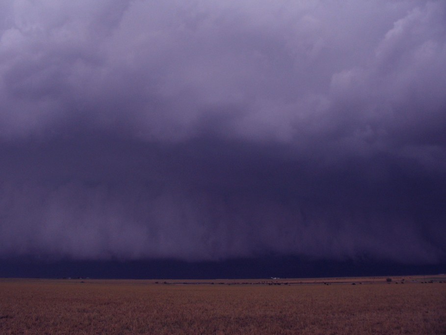 cumulonimbus supercell_thunderstorm : near Dimmit, Texas, USA   31 May 2005