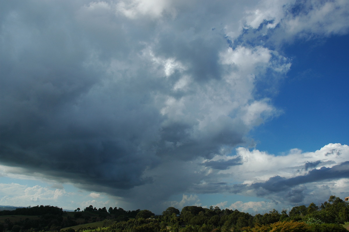 cumulus congestus : McLeans Ridges, NSW   7 June 2005