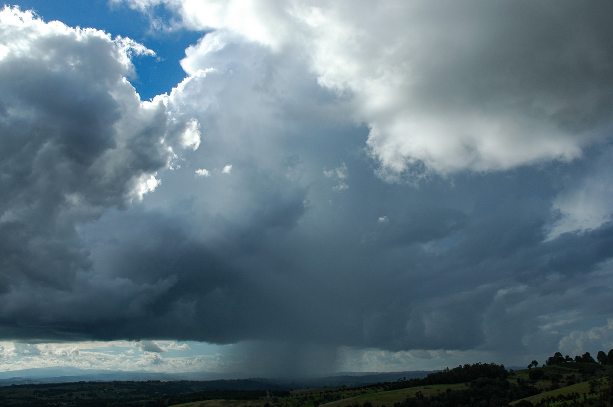 cumulus congestus : McLeans Ridges, NSW   7 June 2005