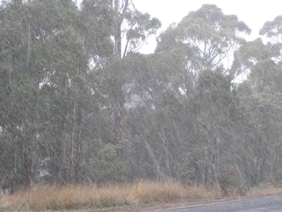 snow snow_pictures : near Oberon, NSW   22 June 2005