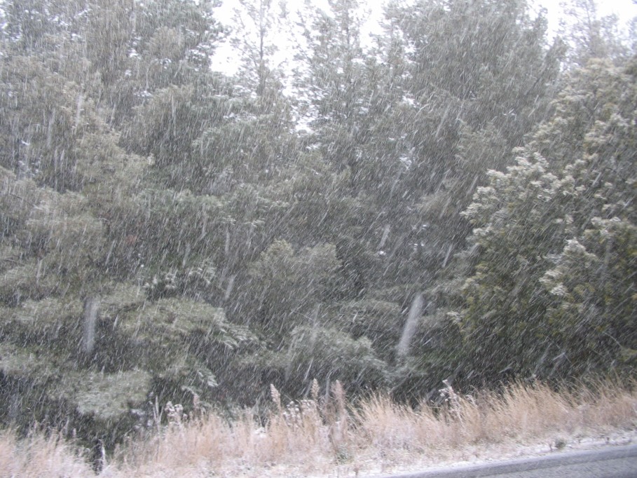 precipitation precipitation_rain : near Oberon, NSW   22 June 2005